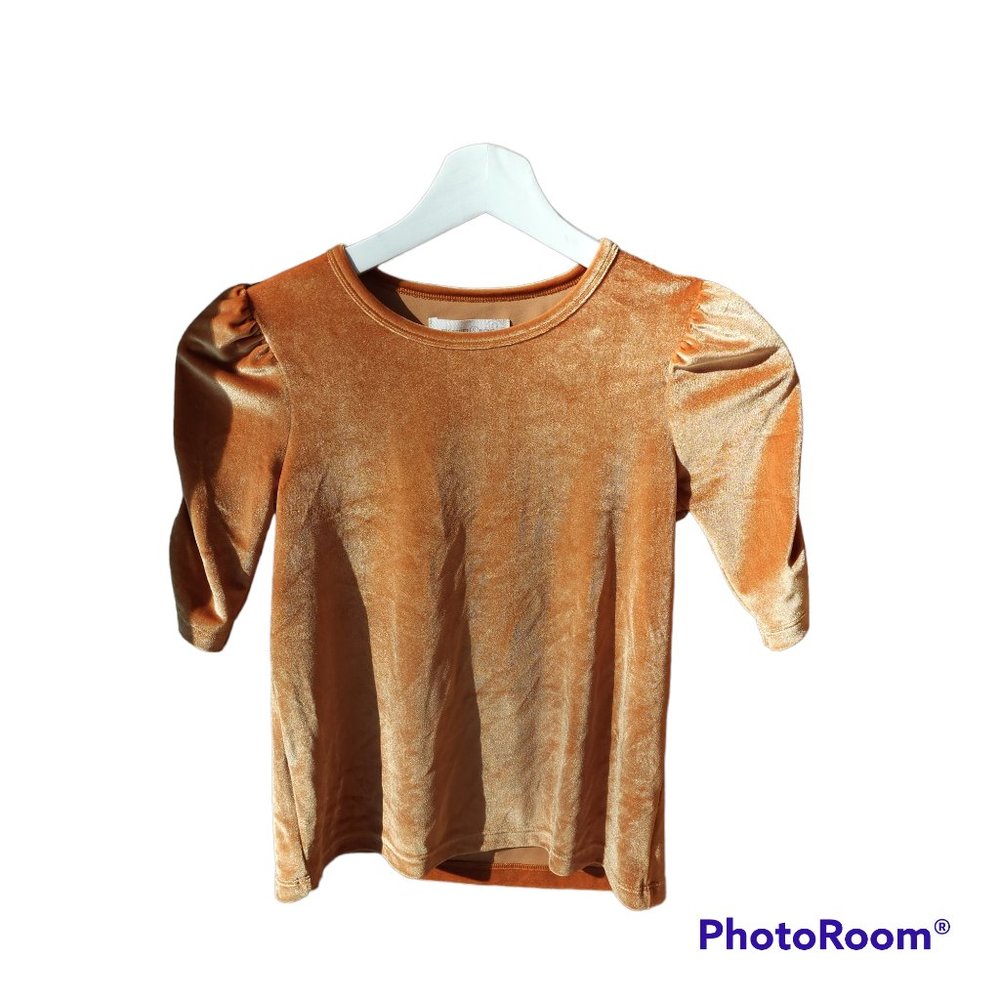 Treasure & Bond Crushed Velvet Top Sz 8/10